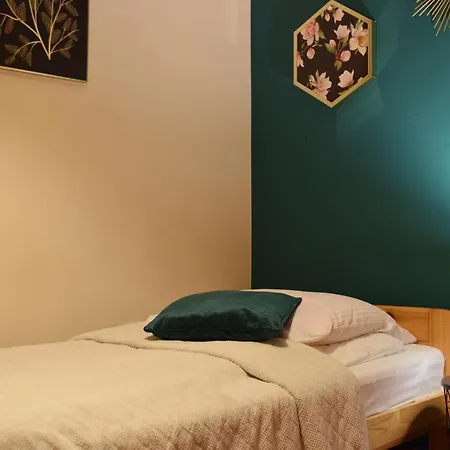 Magnolia Bukowina Tatrzańska